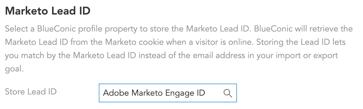 Adobe-Marketo-Engage-Connection-matching-identifier-LeadID.png