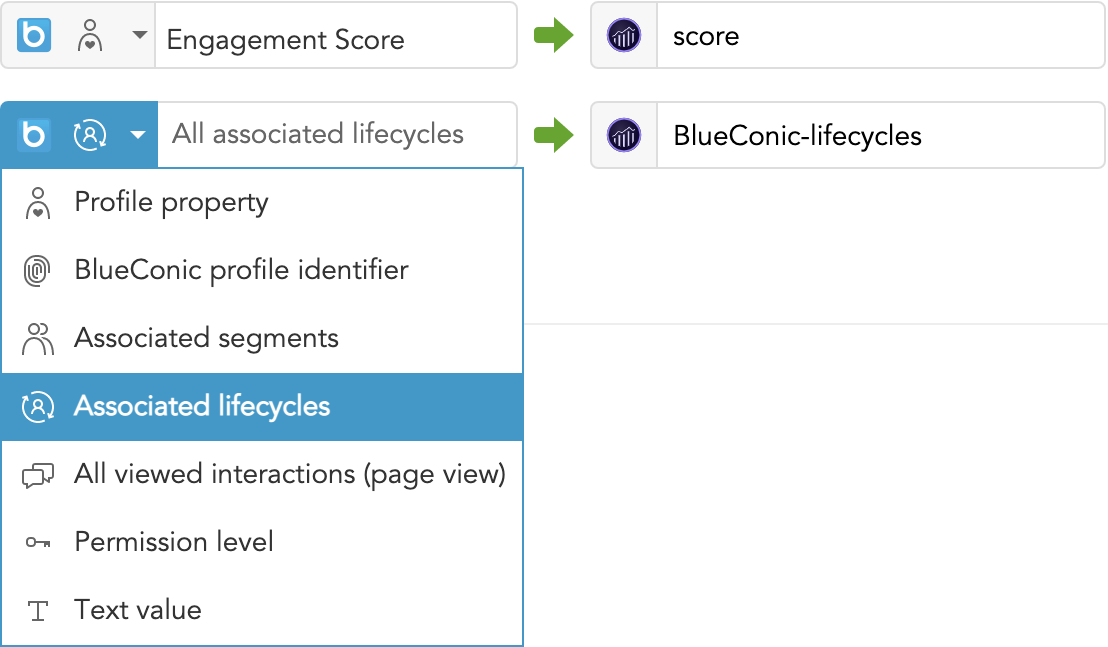 Adobe-Analytics-export-all-associated-BlueConic-lifecycles.png