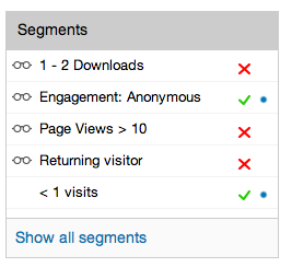 How do I see the customer Segments widget in BlueConic?