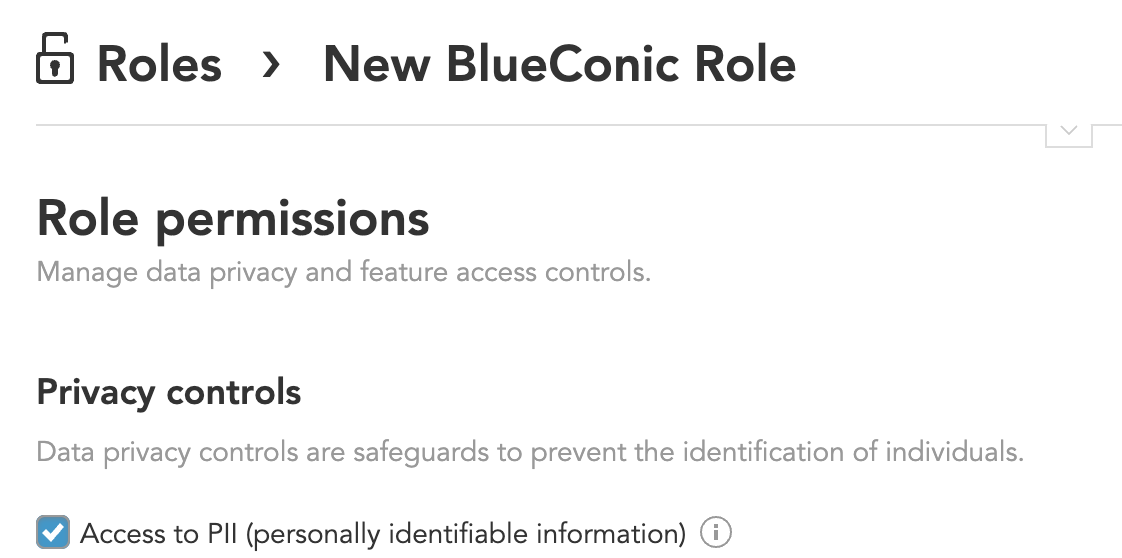 BlueConic Role Permissions Access to PII.png