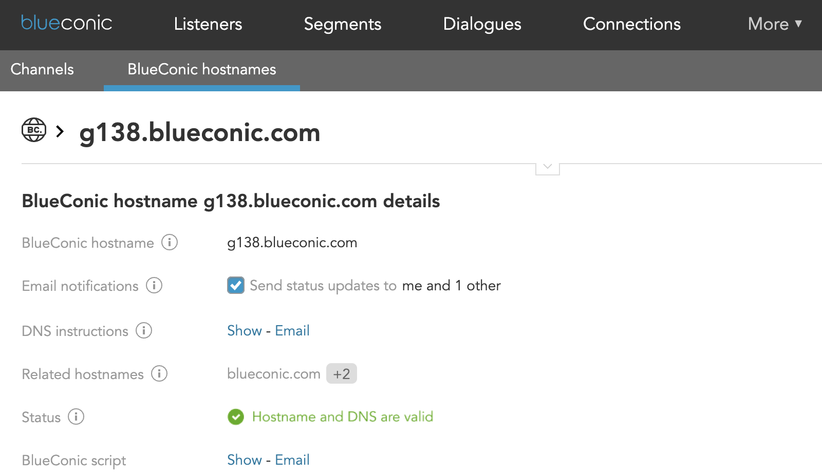 blueconic hostname fixed.png