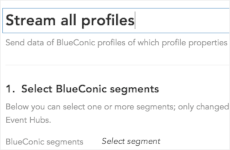 How do I customize a firehose event stream between BlueConic and cloud software providers?