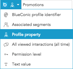 How do I export text to other marketing systems in BlueConic connections?