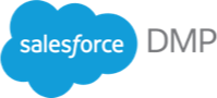 How to connect BlueConic customer segments with Salesforce DMP