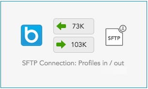 How to measure results with the SFTP Connection in BlueConic