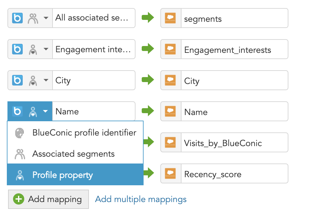 How to map customer data sources between BlueConic and Salesforce marketing cloud