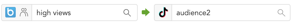 How to sync custom audiences between the BlueConic CDP and TikTok Ads manager